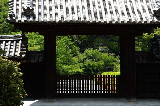 サツキの季節（２）