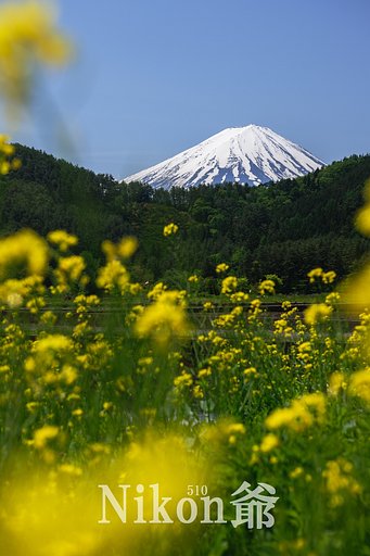 あぜ道の風景