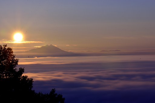 11月2日の写真