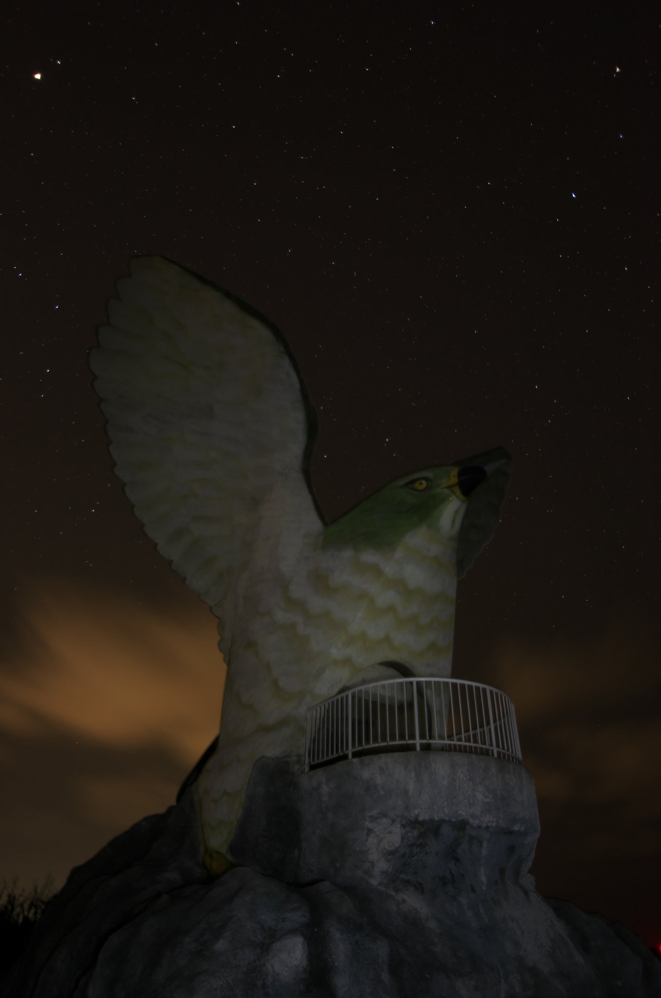 ふなうさぎバナタの星空