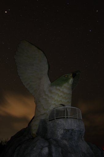4月29日の写真