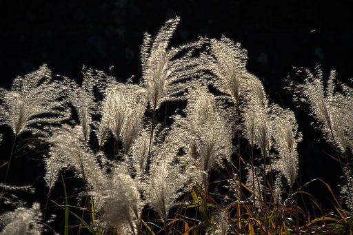 TAMRON 28-300mm F/3.5-6.3 VC PZD Di A010N