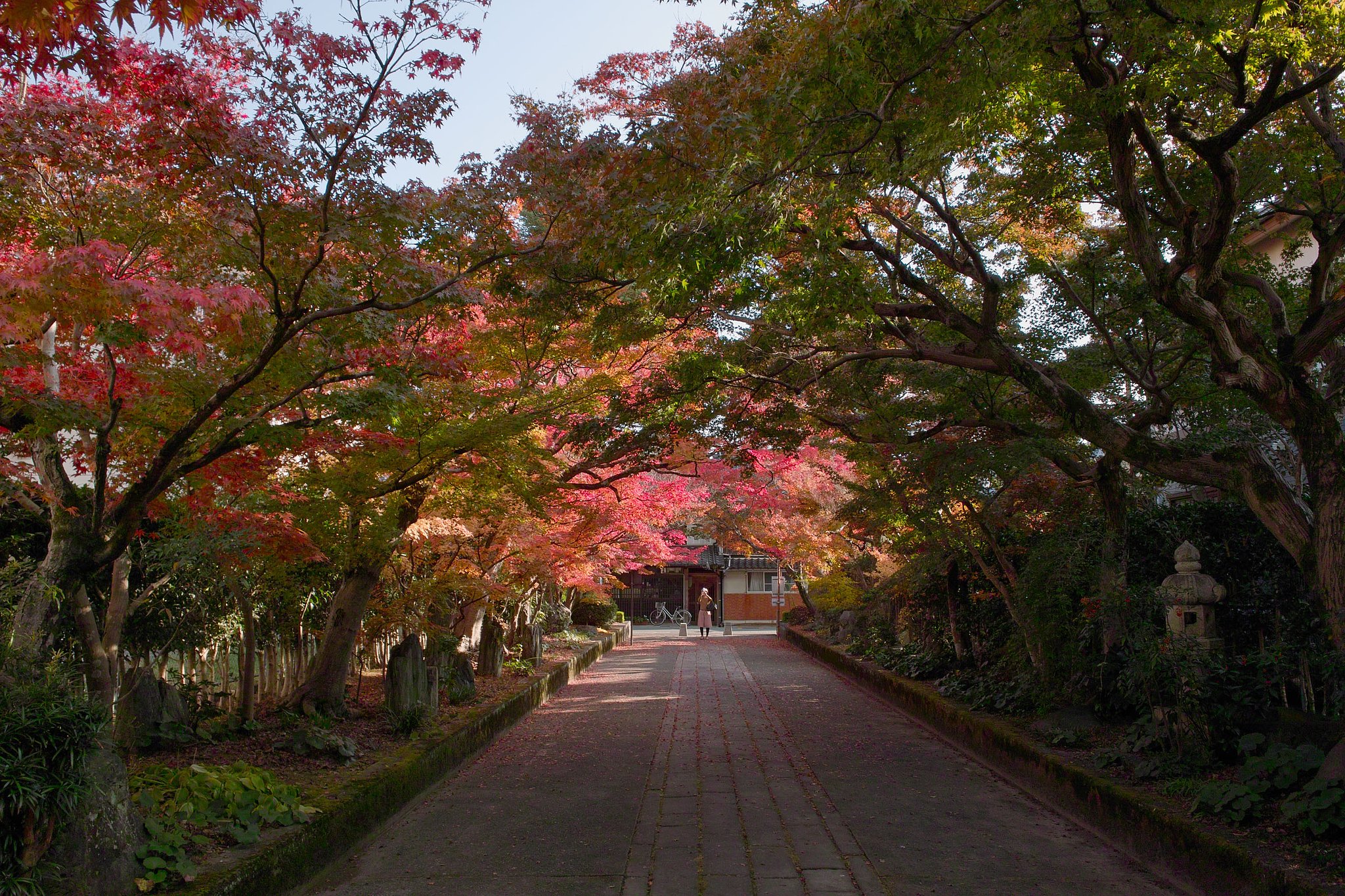 龍福禅寺