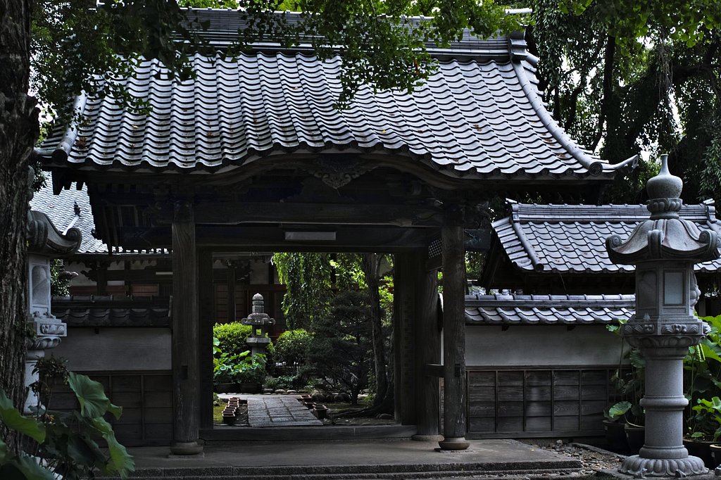 随応院の蓮花