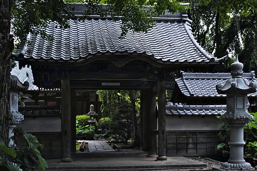 随応院の蓮花