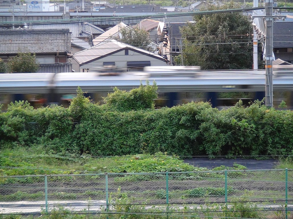 撮り鉄