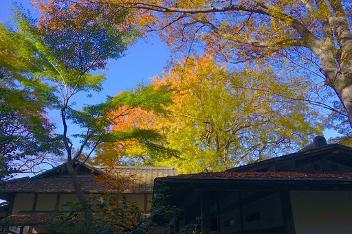 六義園②