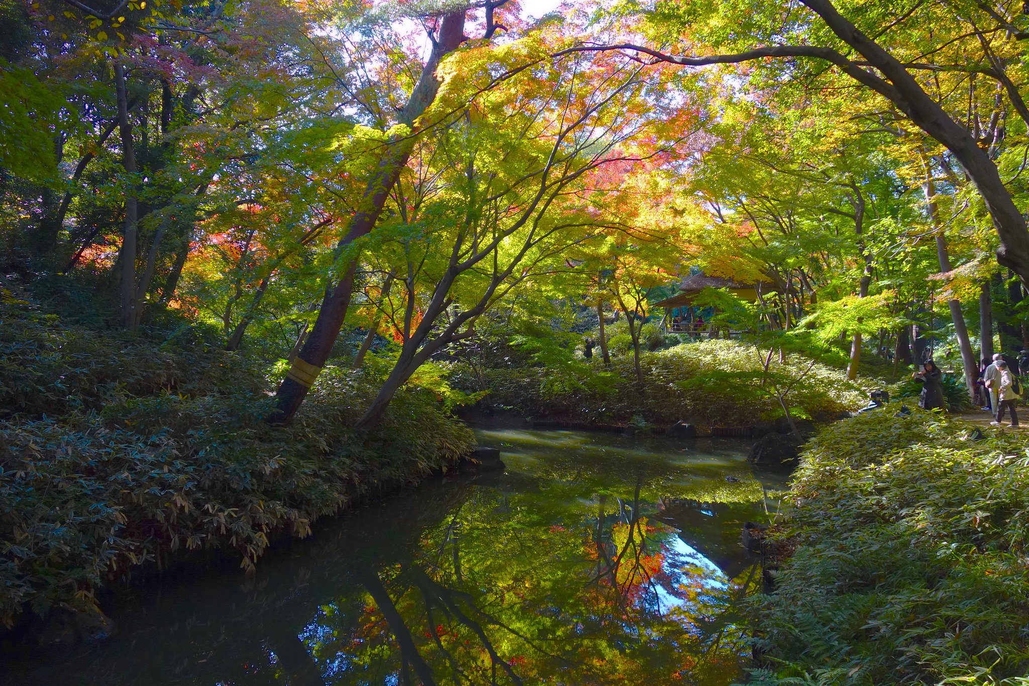 六義園③