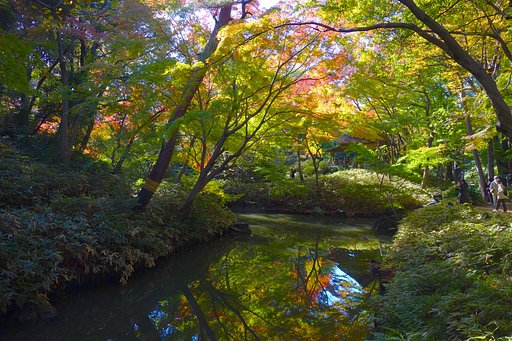六義園③