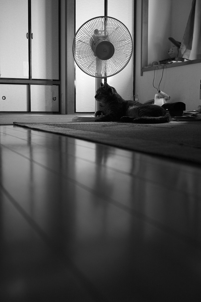 夏もおわりです