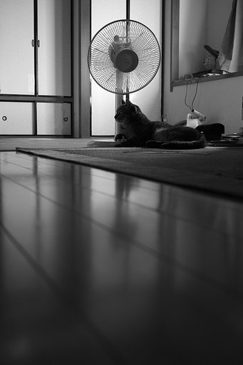 夏もおわりです