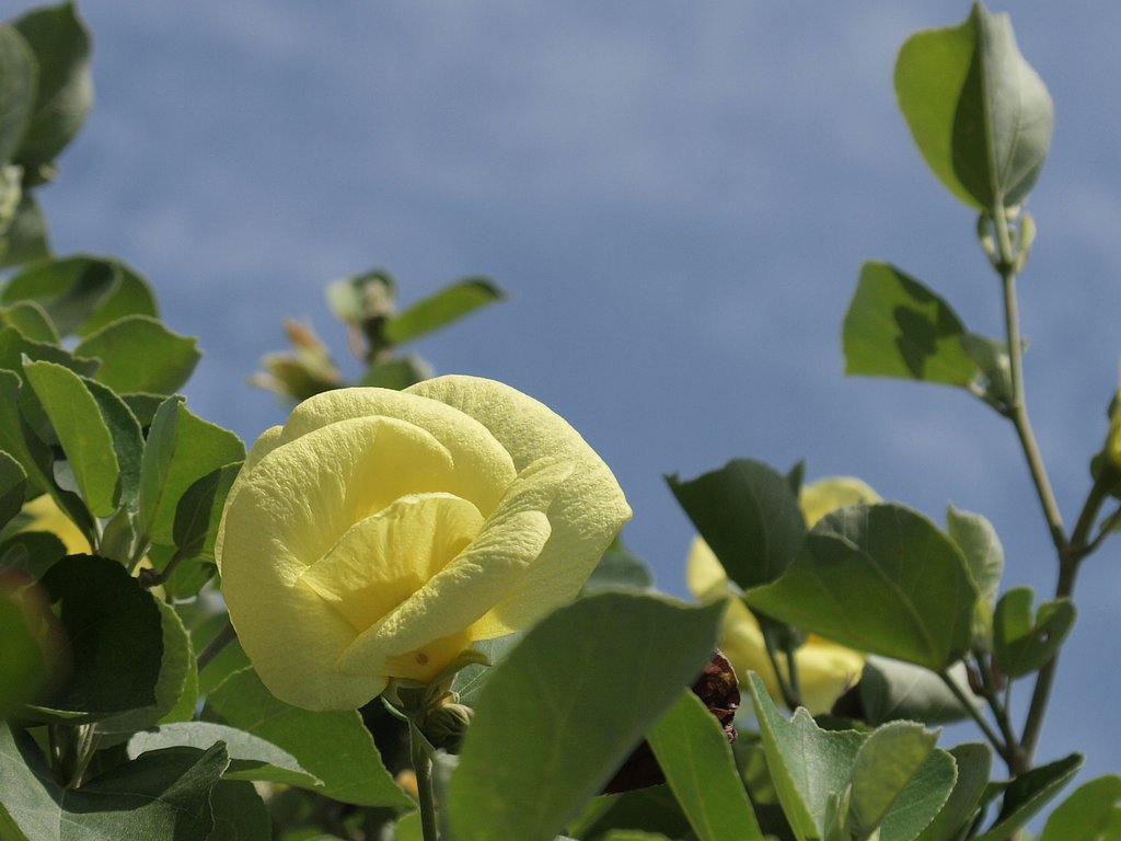 　LEICA　14－50mmF3.8－5.6とE-30