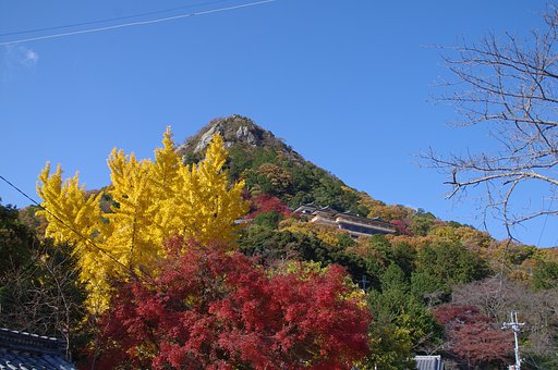 太郎坊宮　1