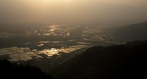 皐月、かげりゆく