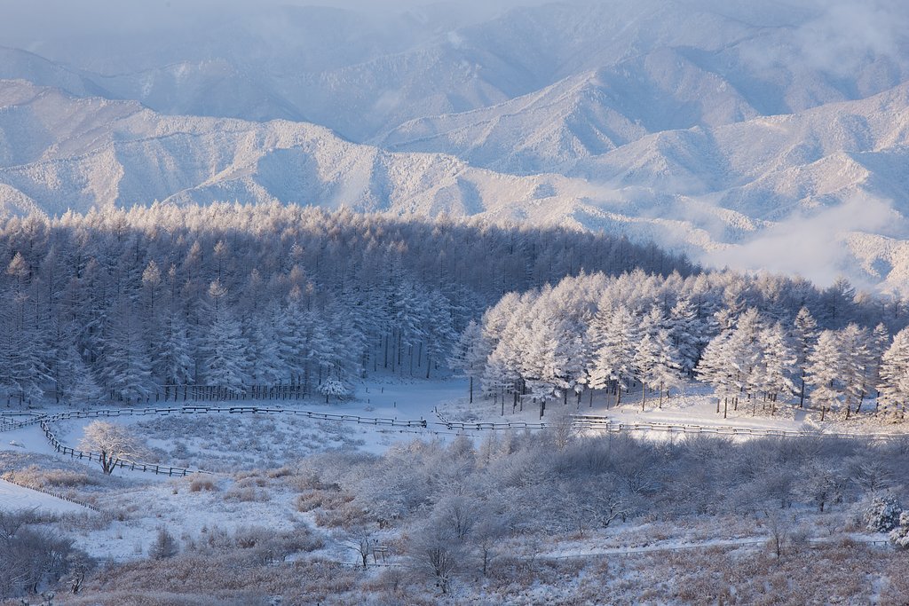 静寂の世界