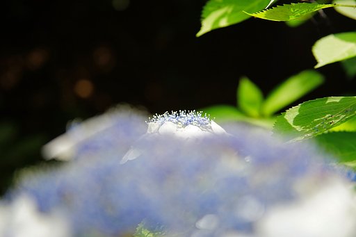 新・世界遺産？