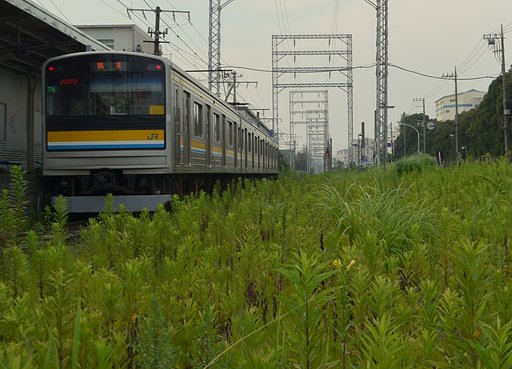 夕刻の大川駅