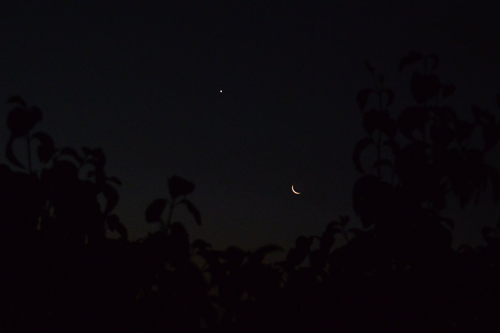 月と金星