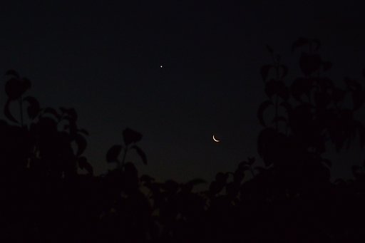 月と金星
