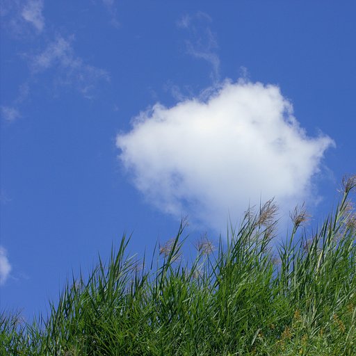 秋【雲】奔葦
