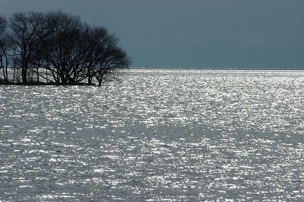 凍った湖