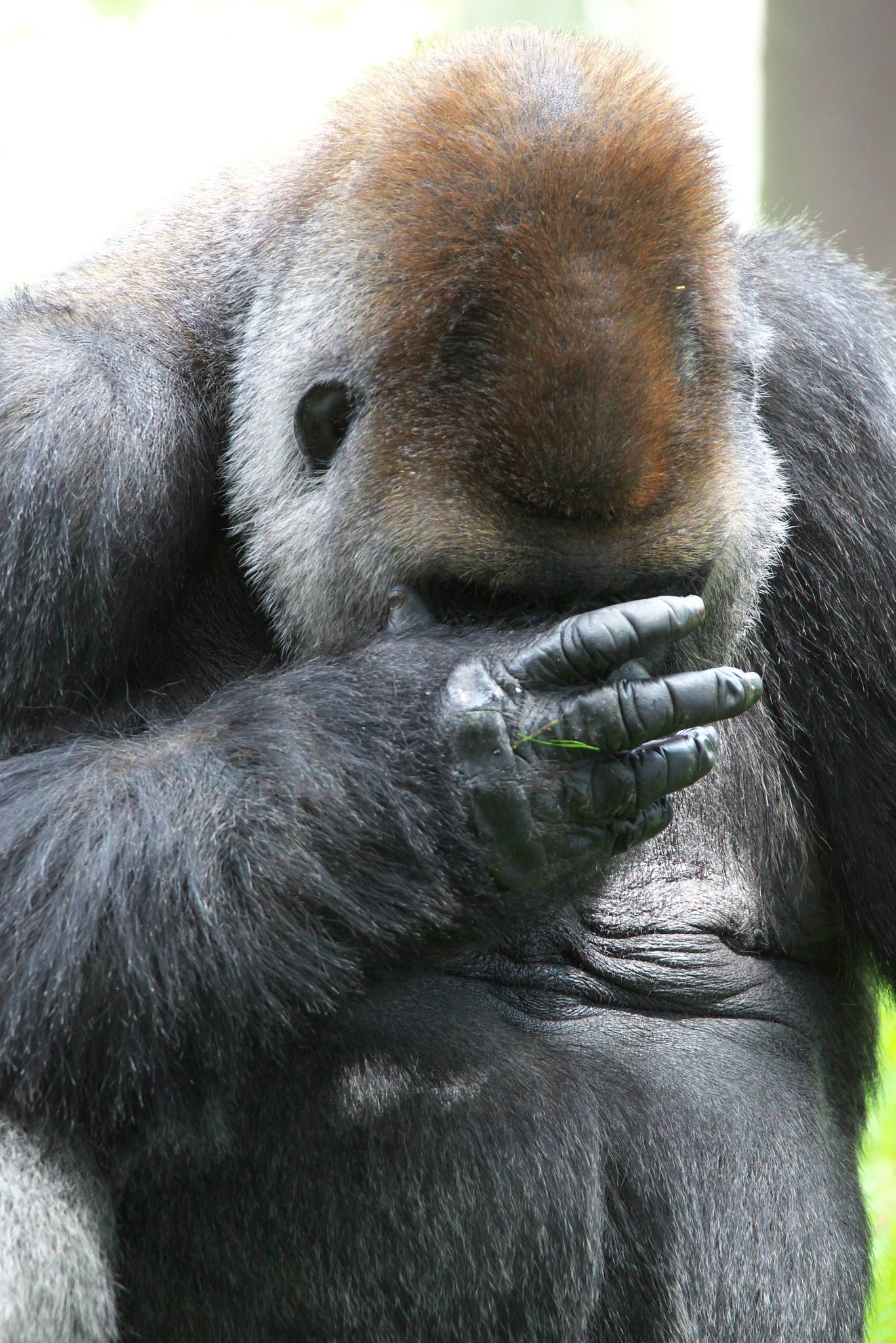 男泣き