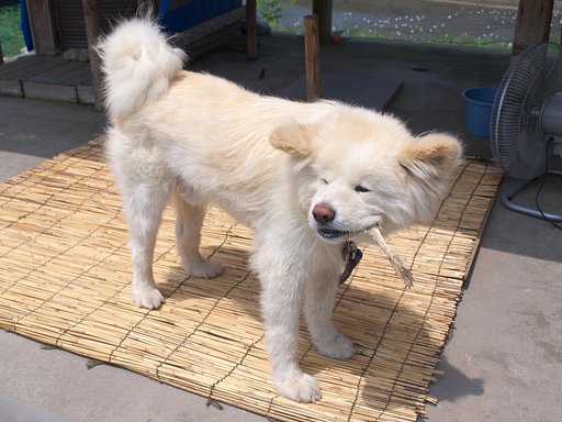 歯応え十分
