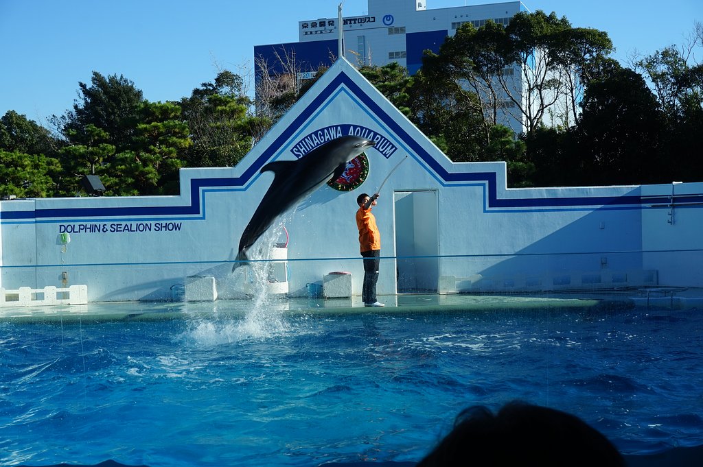 品川水族館で