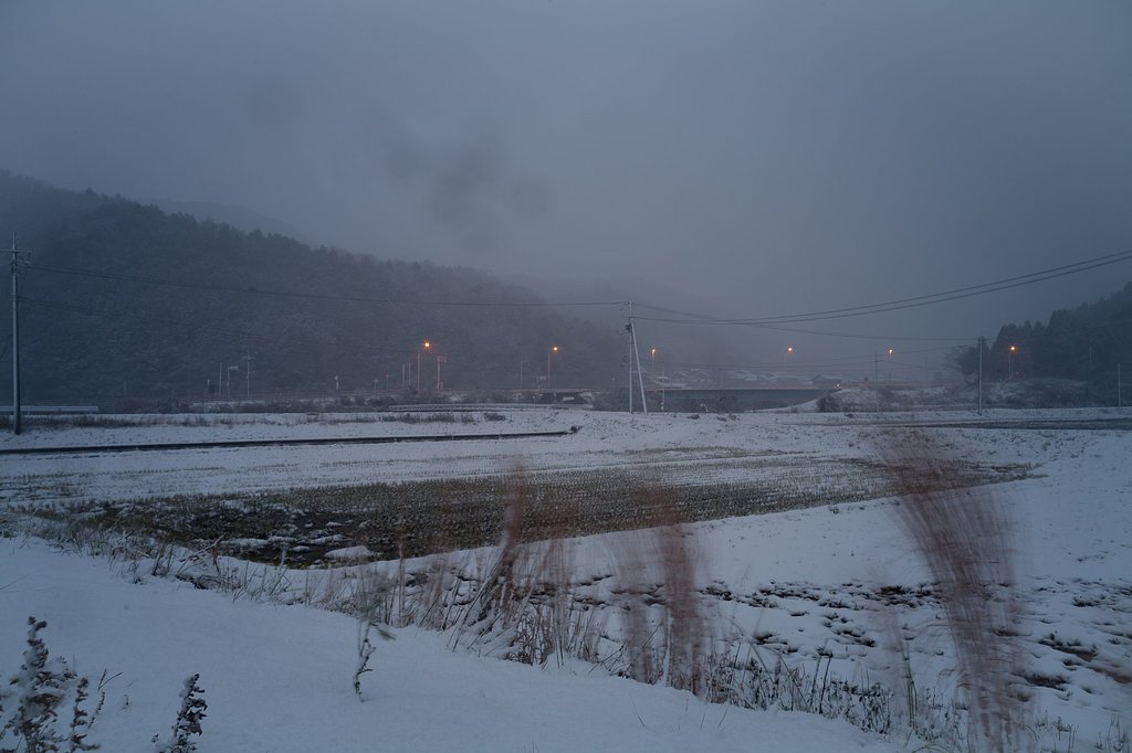 雪化粧!