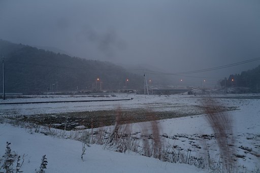 雪化粧!