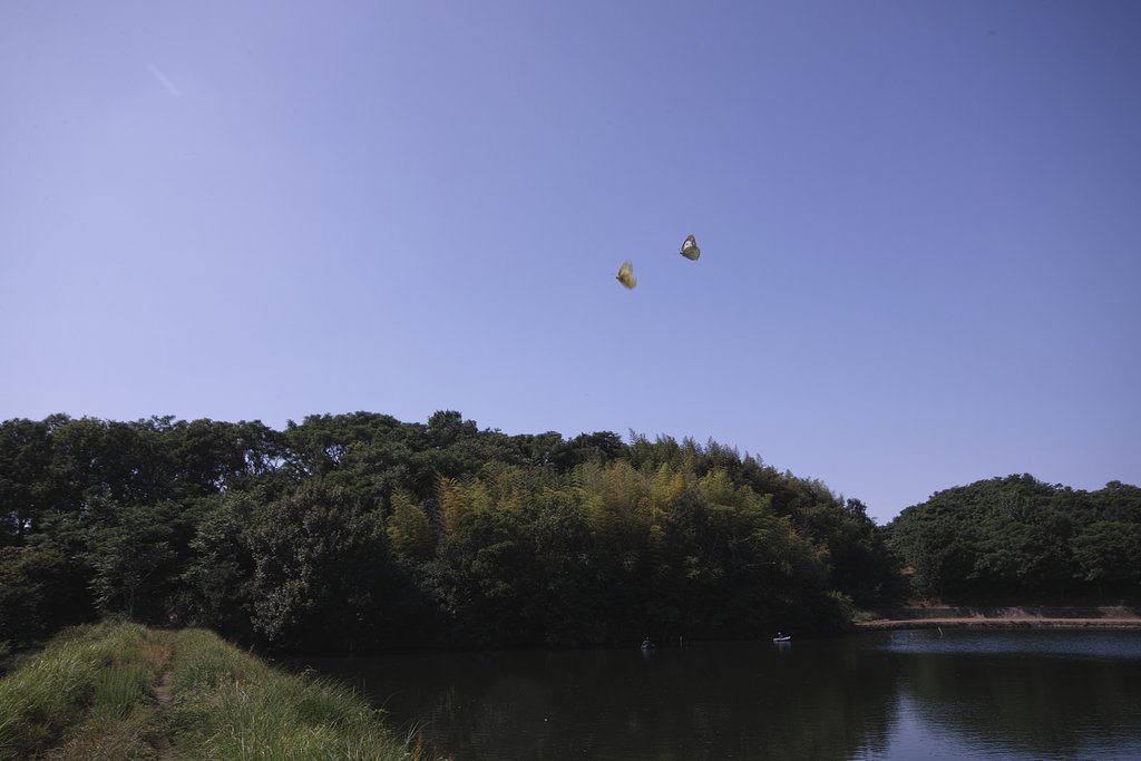 二歩写真