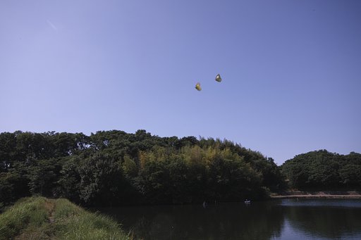 二歩写真