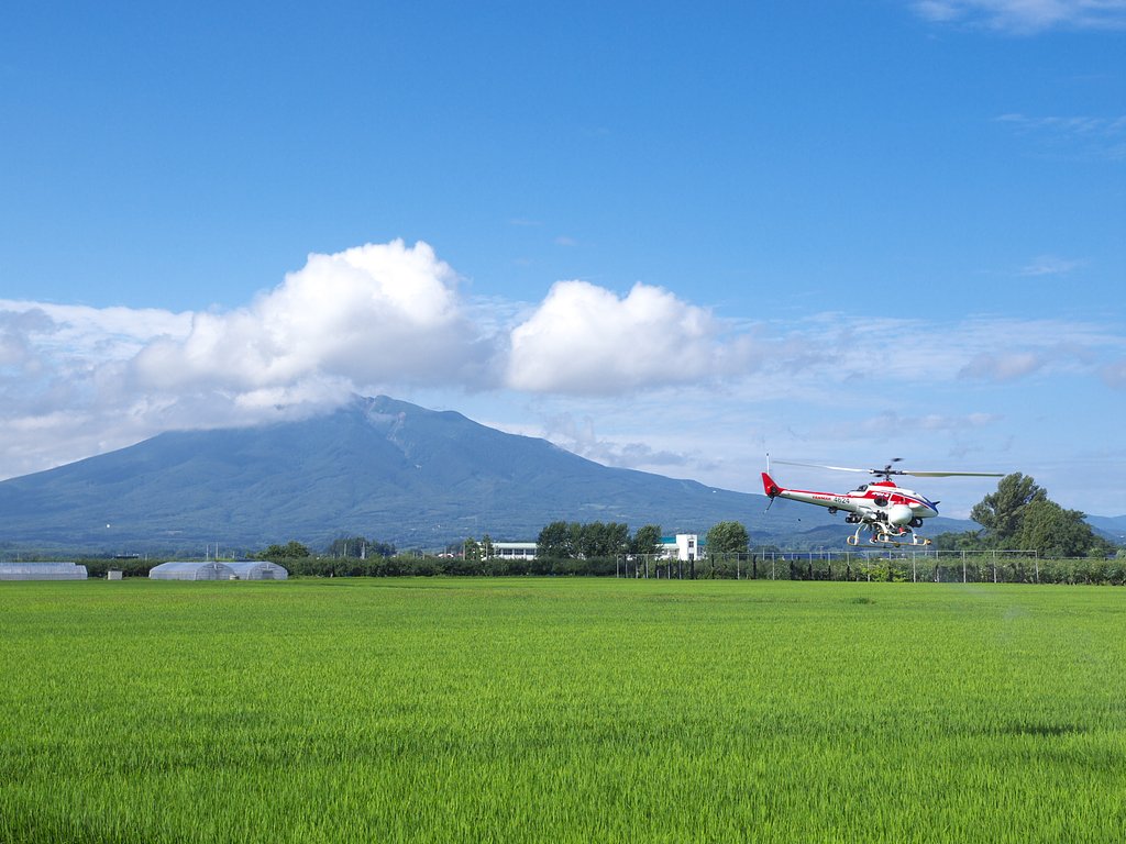 夏のお岩木山