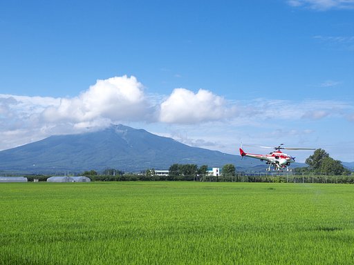 夏のお岩木山