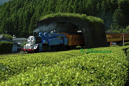『機関車トーマス』 アジアでは初めて　---静岡茶の中を走る---