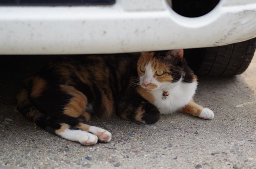 車輪の下