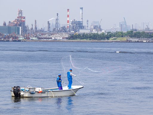 夏の漁場