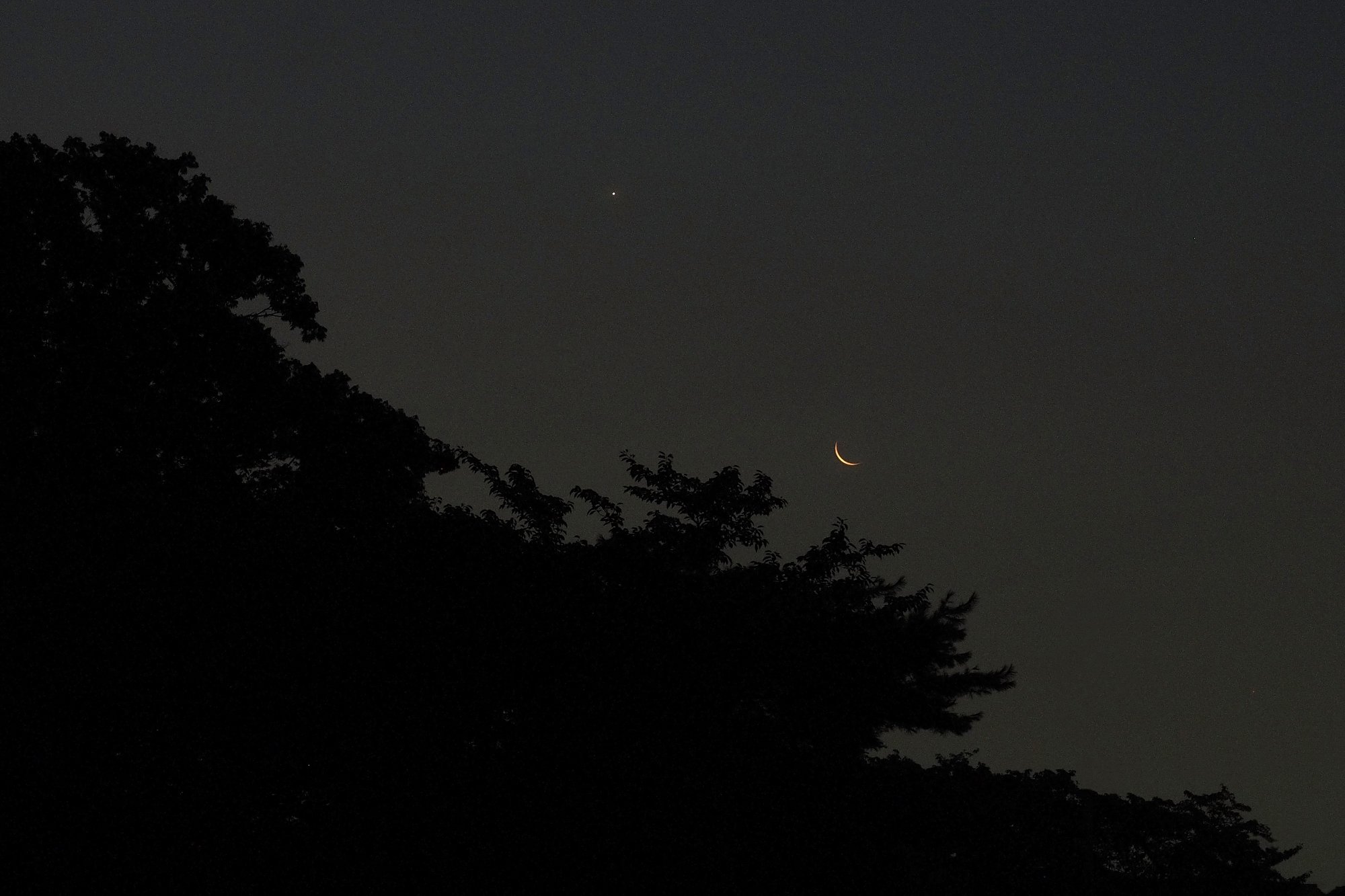 細月と明けの明星昇る