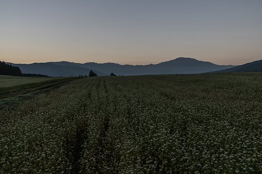秋・静寂の朝