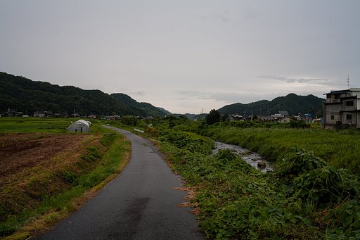 夕方から雨が・・。