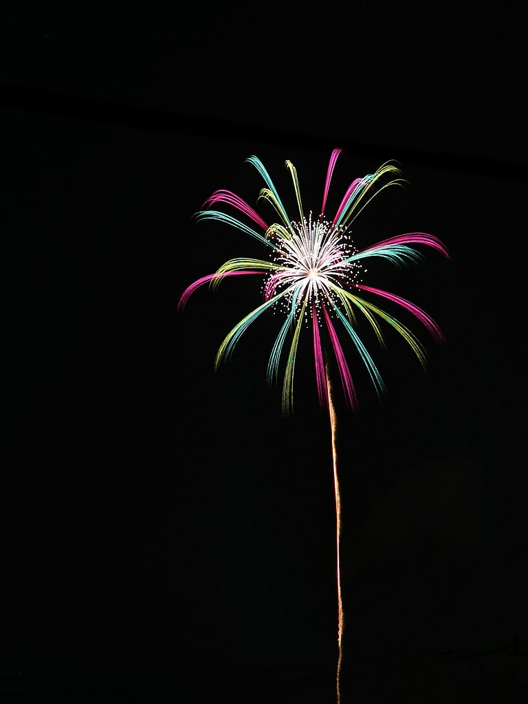 夜空の花