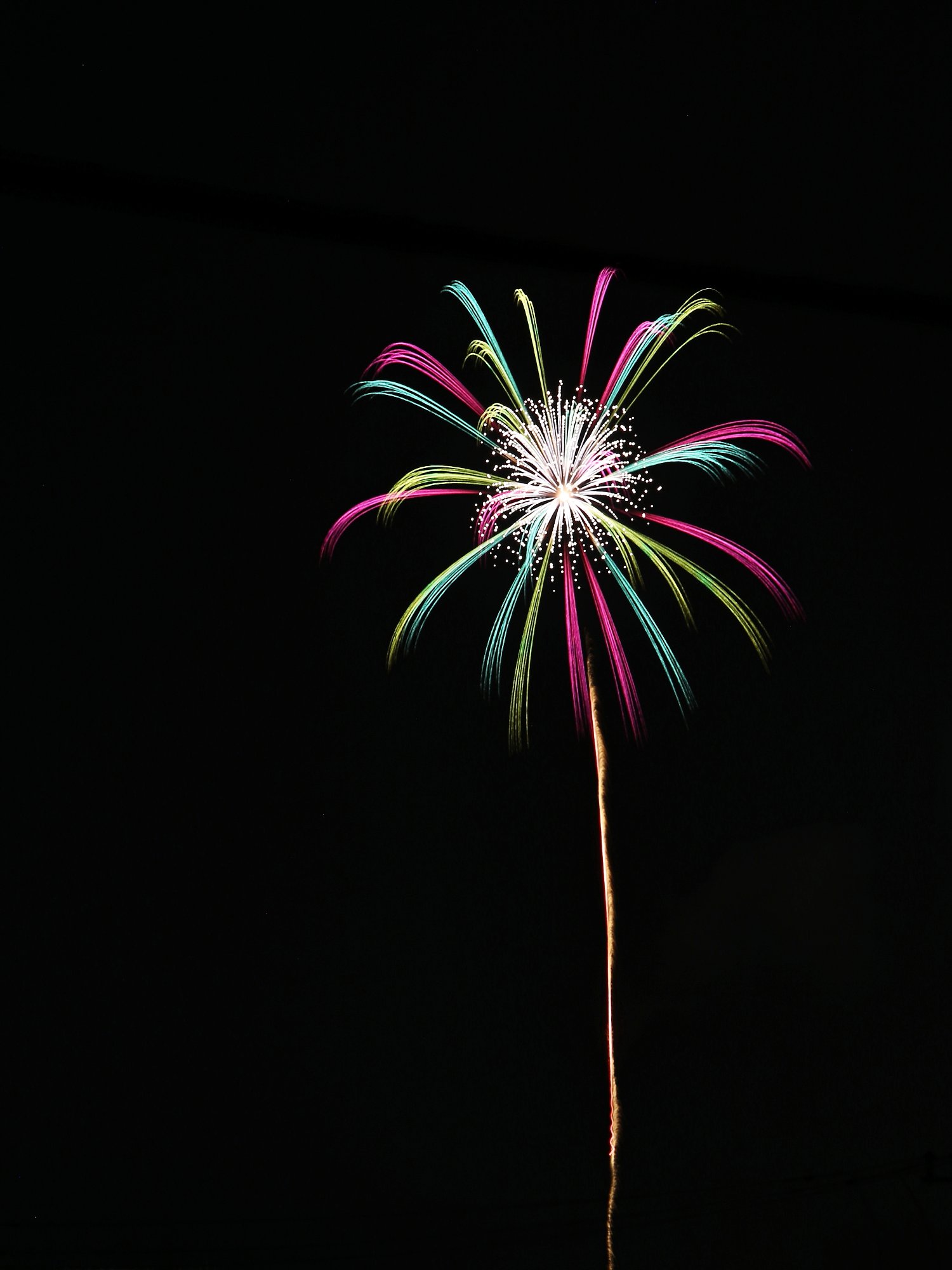 夜空の花