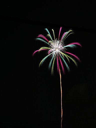 夜空の花