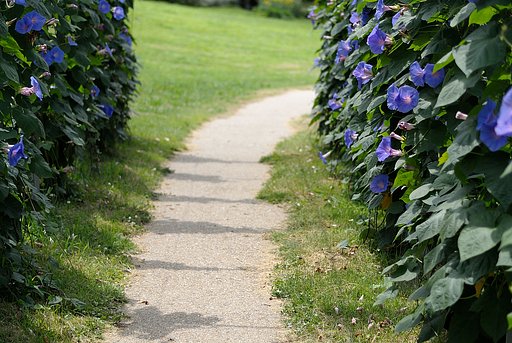 花の小道