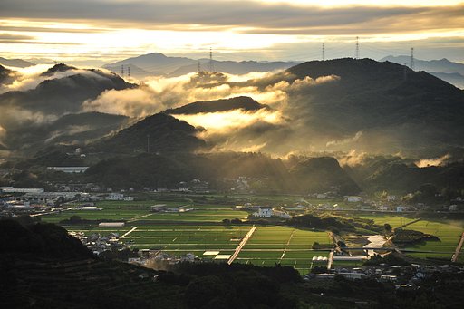 雨上がりの朝