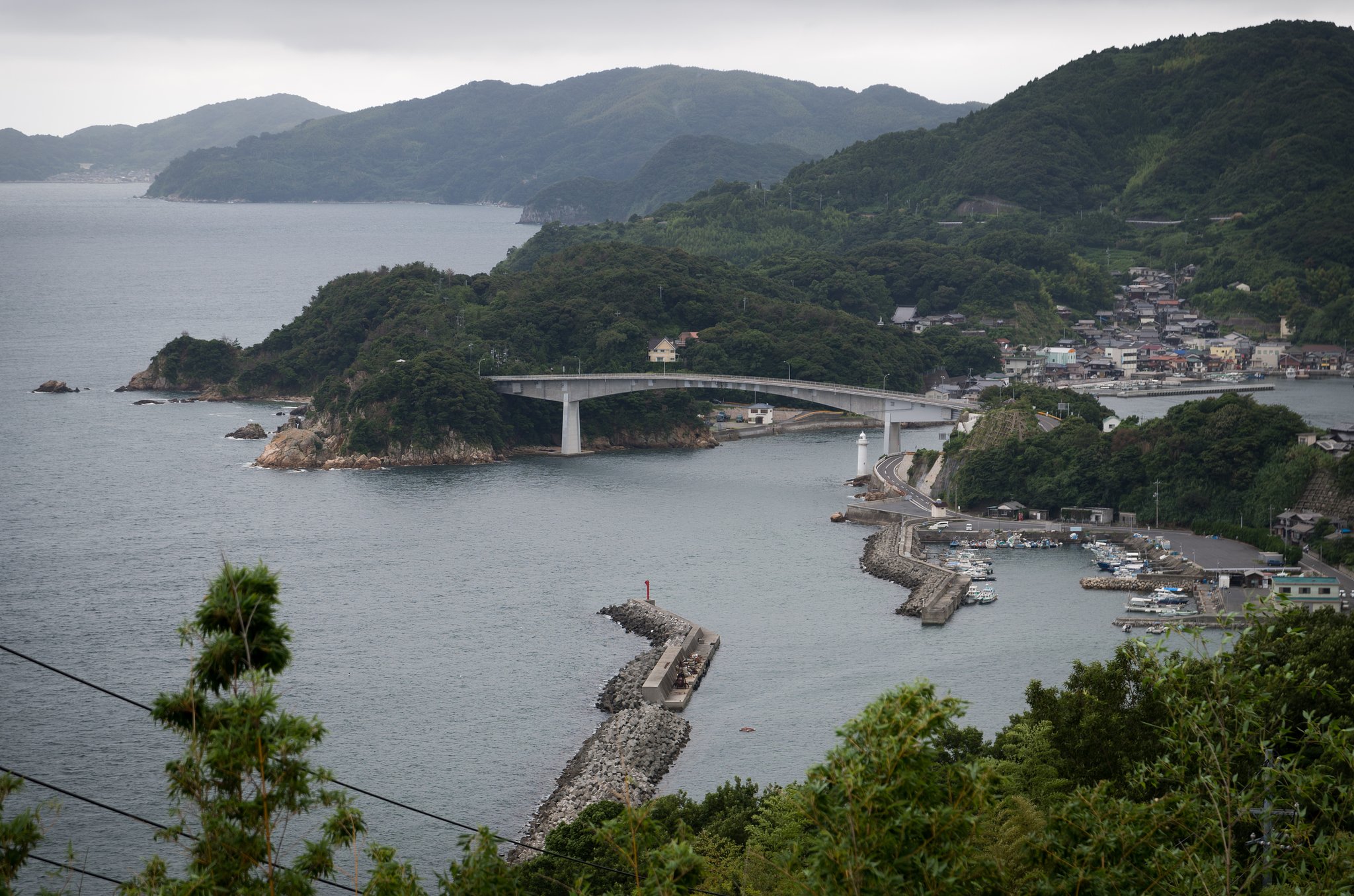 橋