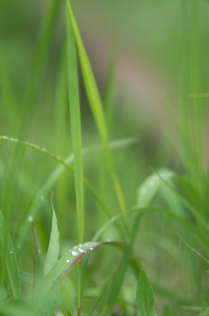 梅雨のスケッチⅠ