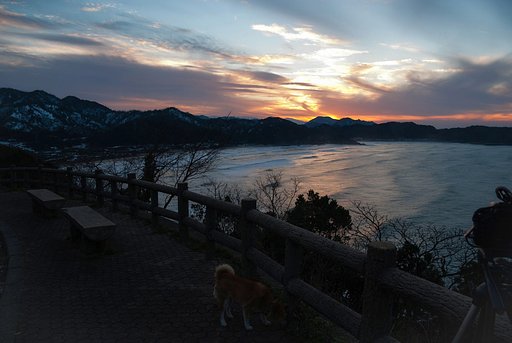 夕焼け撮りの足元で!
