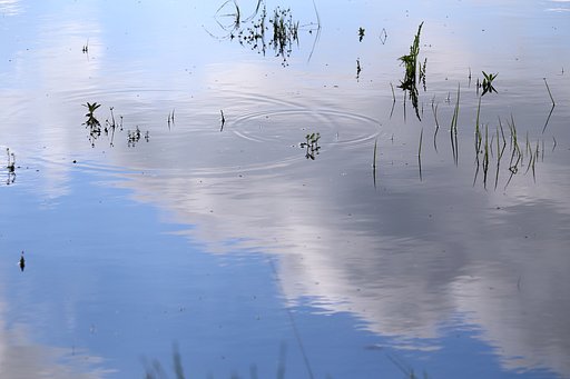 夏の色