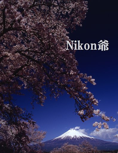 濃いめ
